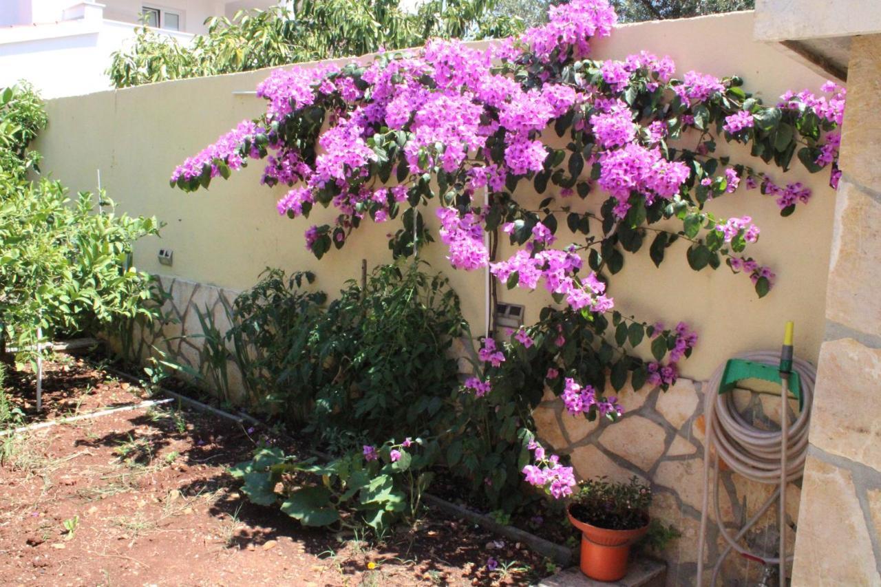 Apartments Villa Macola Трогир Экстерьер фото